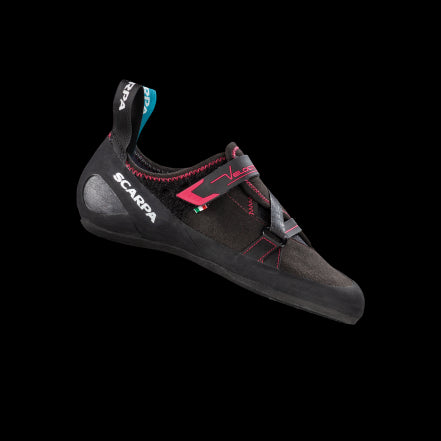 Velocity Women ' 20 - black/raspberry - 36,5 EUR