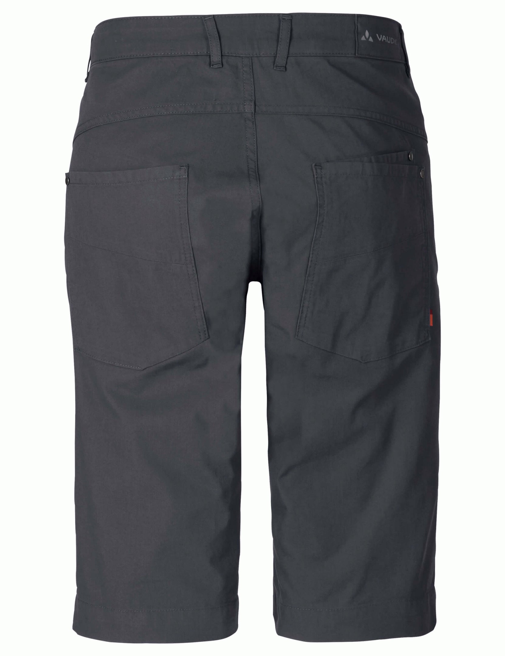 Nevis Short M's - iron - 46 Herren