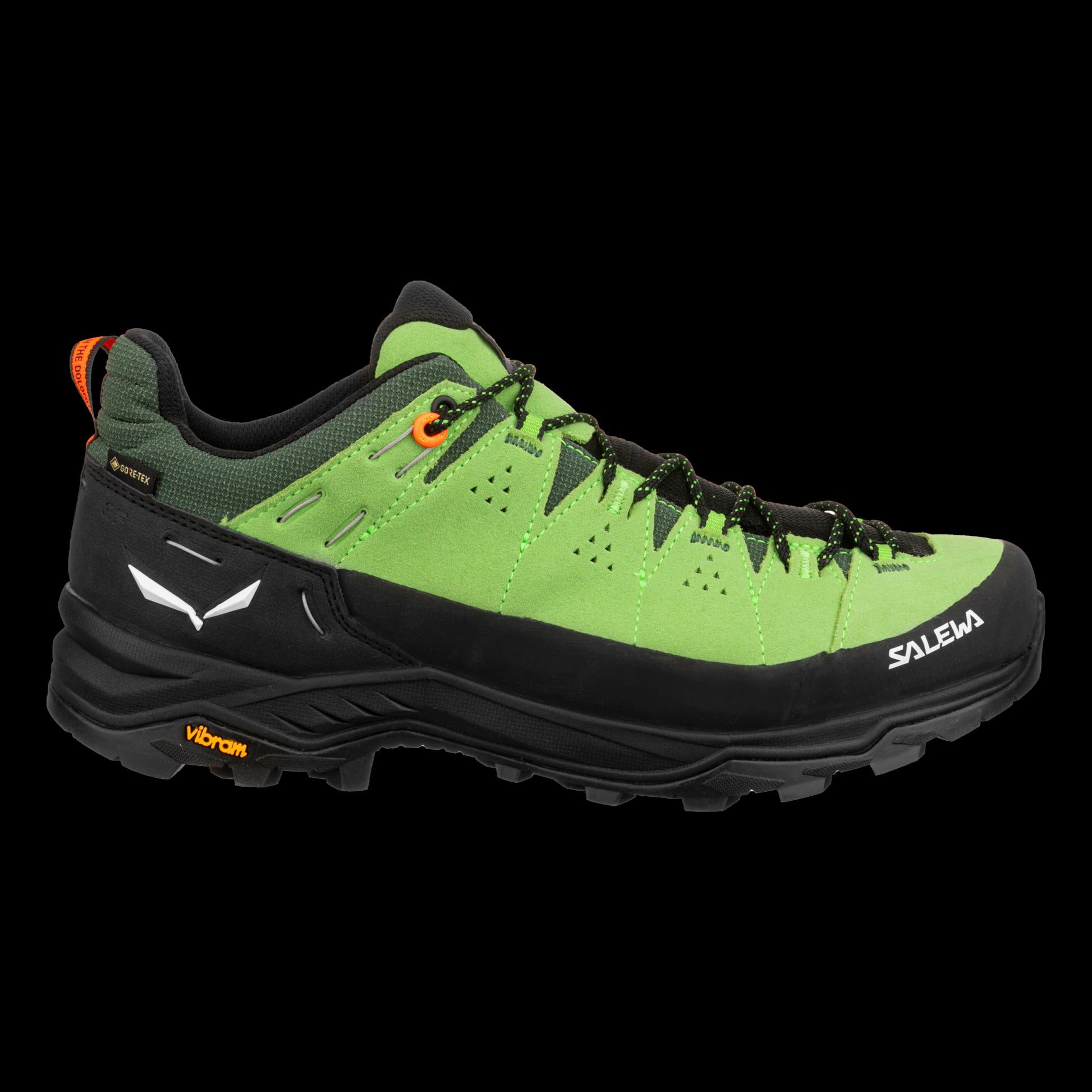 Alp Trainer 2 GTX Men - pale frog/black - 7,0 UK