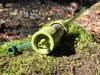 BasicNature Wasserfilter - - - -