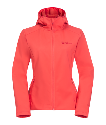 BORNBERG HOODY W (1)