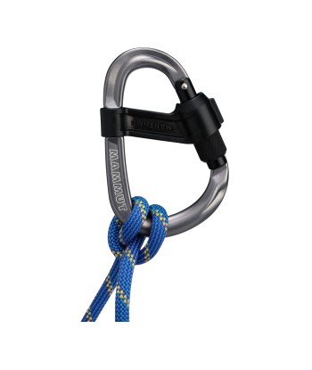 Smart HMS 2.0 Screwgate Carabiner (1)