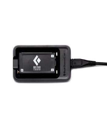 BD 1500 BATTERY & CHARGER