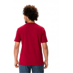 Men's Spirit T-Shirt (8)