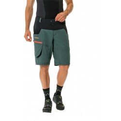 Men's Qimsa Shorts (7)