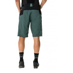 Men's Qimsa Shorts (8)