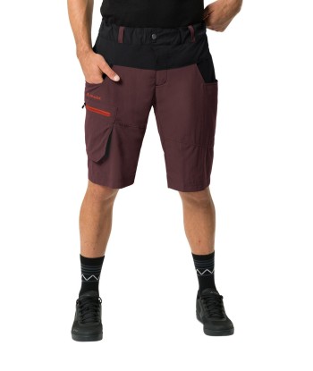 Men's Qimsa Shorts (33)