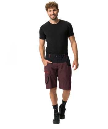 Men's Qimsa Shorts (34)