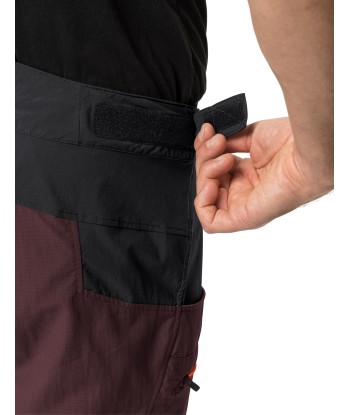 Men's Qimsa Shorts (36)