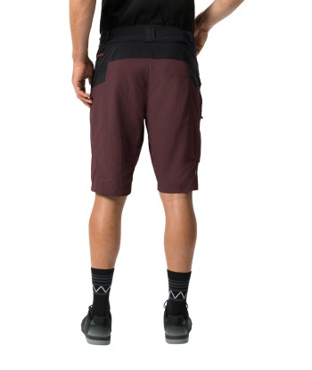 Men's Qimsa Shorts (37)