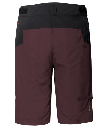 Men's Qimsa Shorts (38)