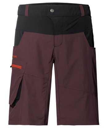 Men's Qimsa Shorts (3)