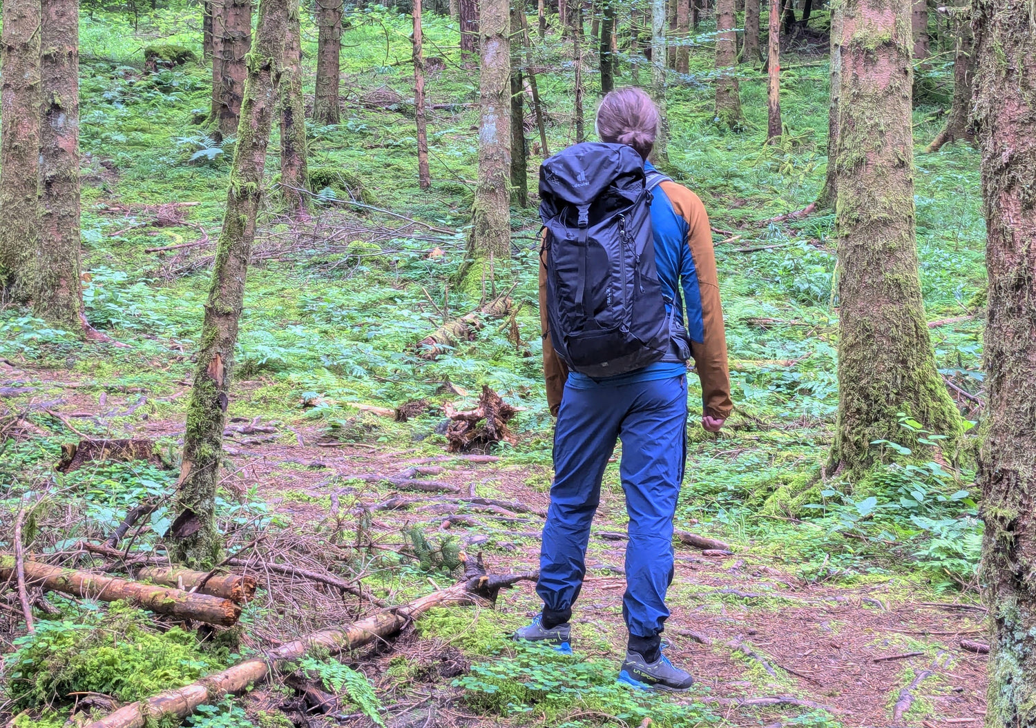 Person, die von hinten fotografiert, ist mit einem Tagesrucksack die Person steht im Wald im Frühling