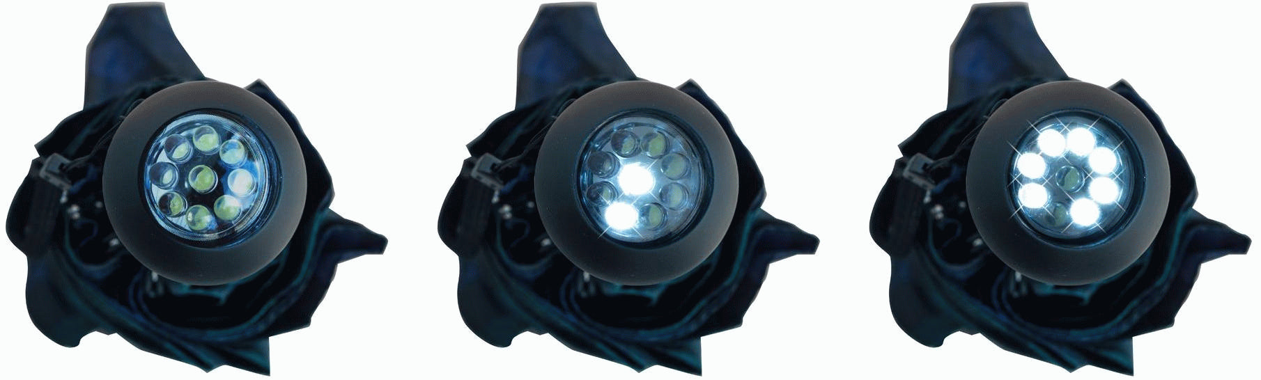 145699