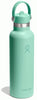 MERMAID GREEN