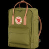 Foliage Green-Peach Sand