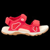 red / champagne