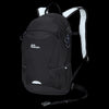 flash black