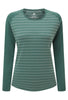 Fern Stripe/Fern
