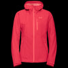 tulip red