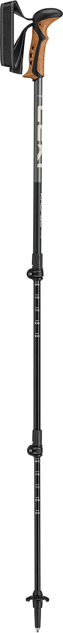 142519