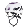 BICOLOR WHITE AND PURPLE