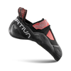 Hibiscus/Black
