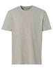pigeon grey