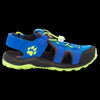 blue / lime