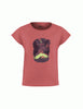 PRINT sunset coral