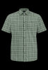 hedge green checks