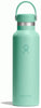 MERMAID GREEN