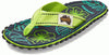 Lime Hibiscus