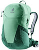 spearmint-seagreen