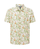 MULTI