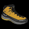 Gold/Gold