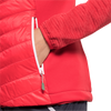 tulip red