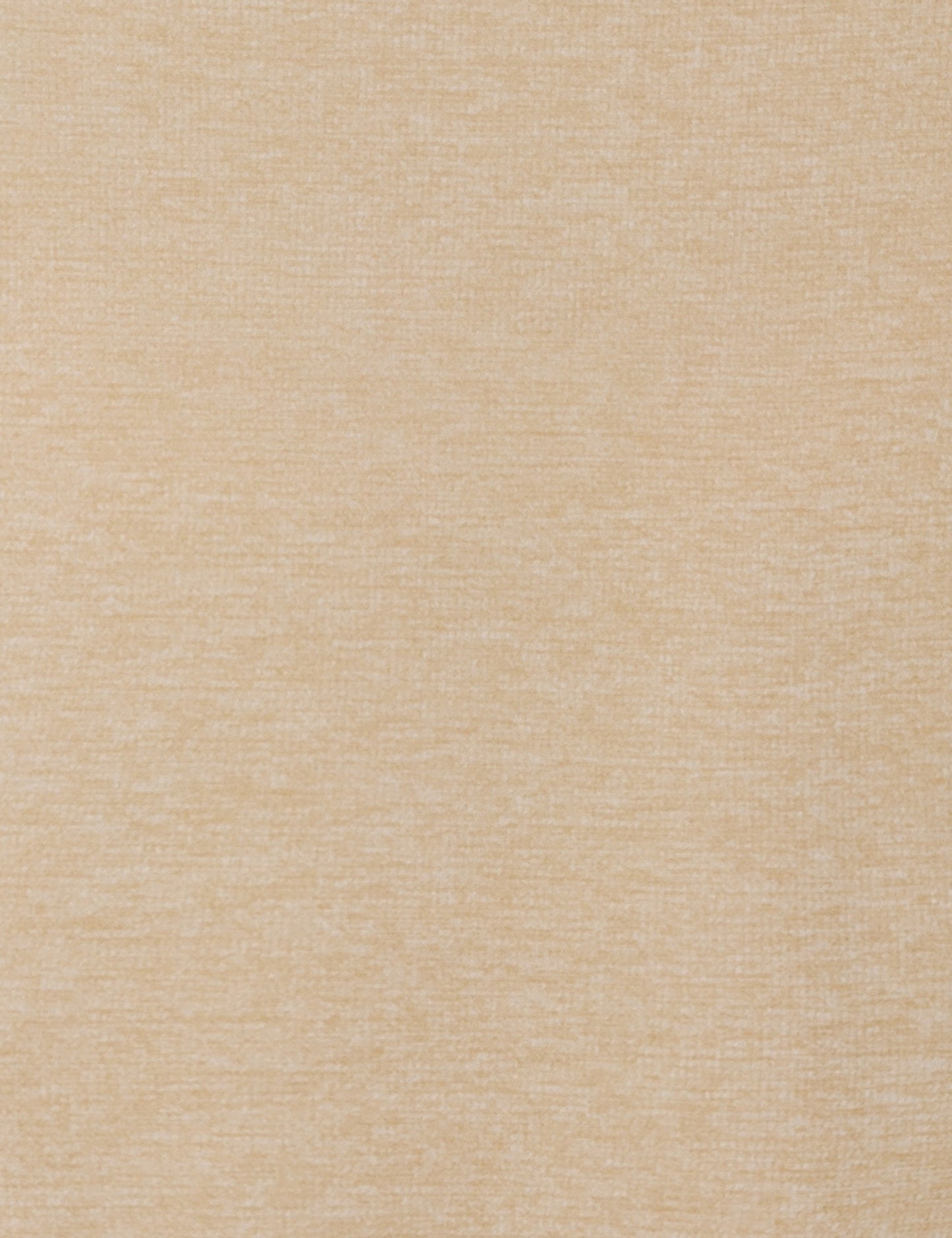 81528