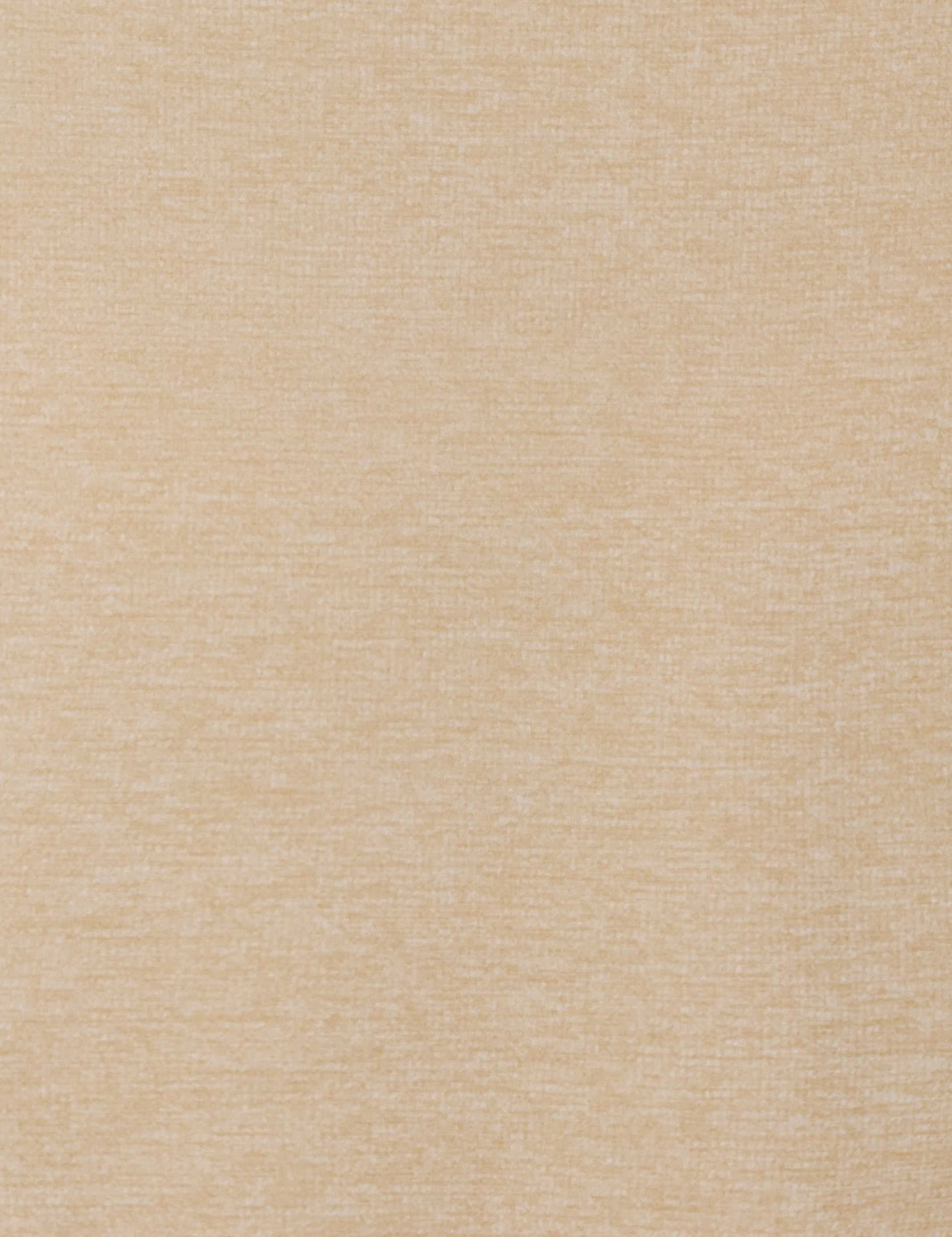 81528