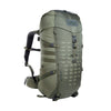 stone grey olive